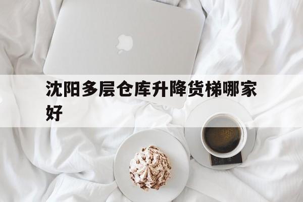 沈陽多層倉庫升降貨梯哪家好（3000元小型升降貨梯）
